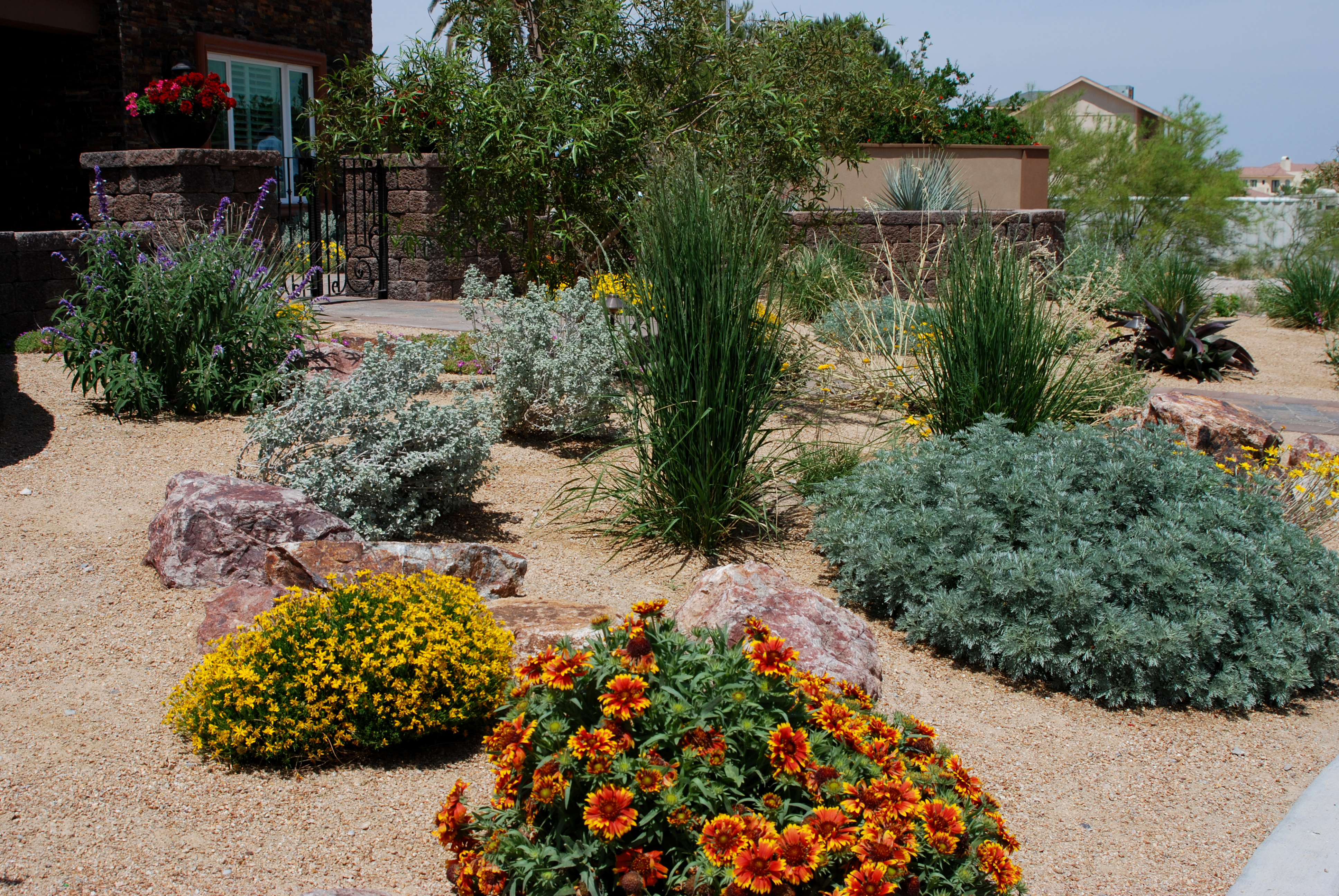 Home with Desert-Adapted Plants